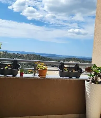 Coco *