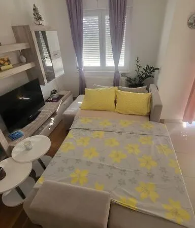 Apartment Coco
